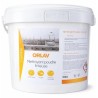 POUDRE FRITEUSE 10KG