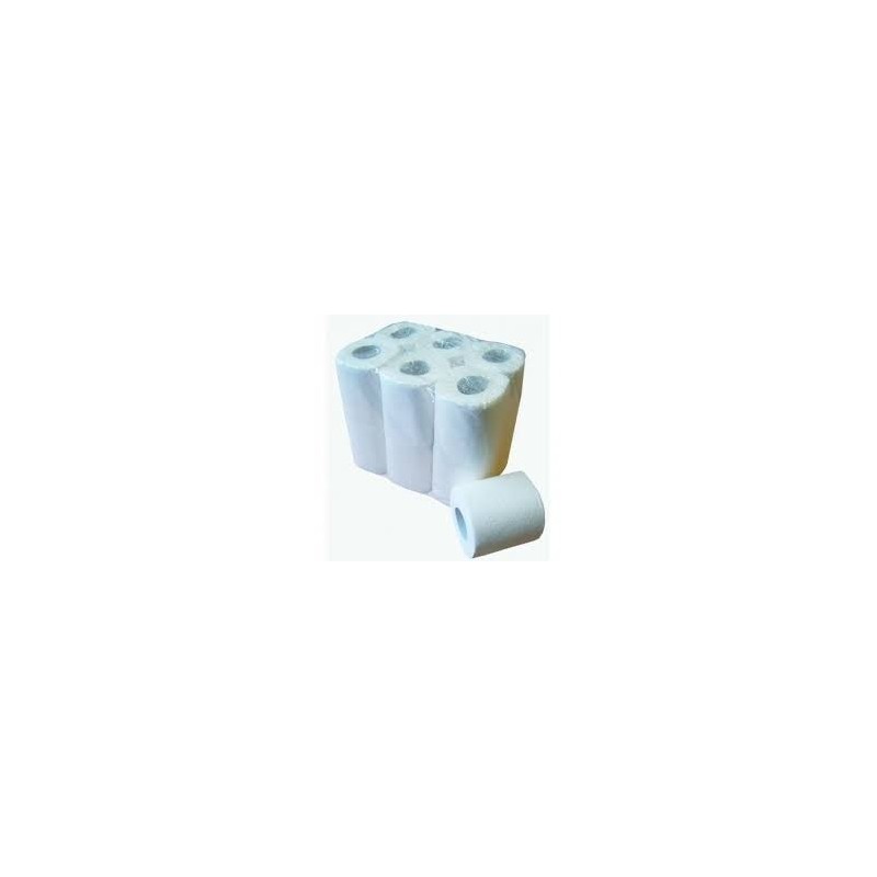 PAPIER TOILETTE DOMESTIQUE 2PLIS X24